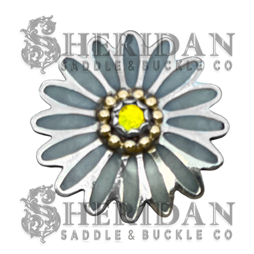Custom Conchos