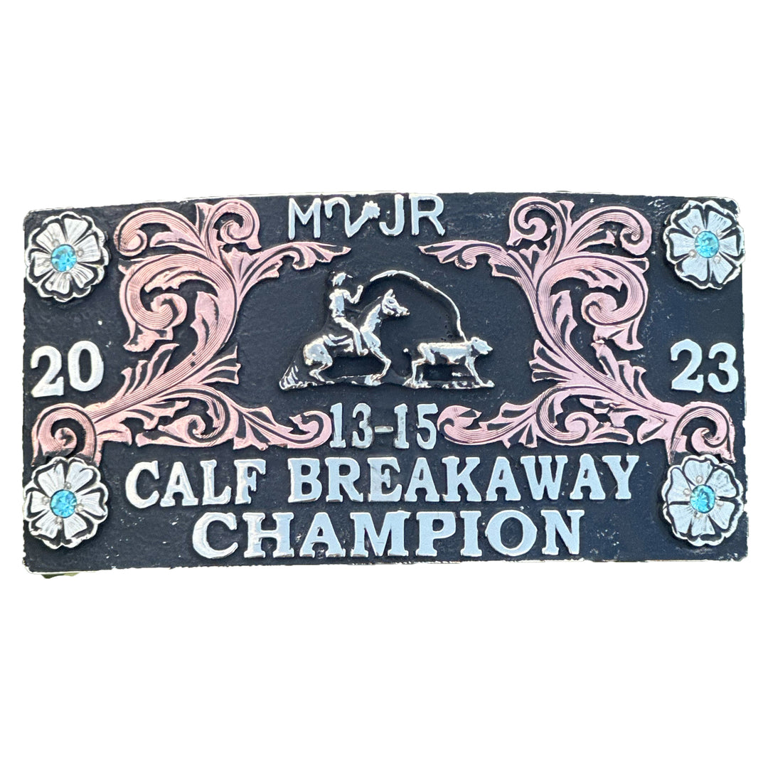 Springfield Box Buckle