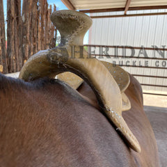 Saddle image 1 for