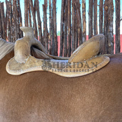 Saddle image 3 for Meet The Crew...
