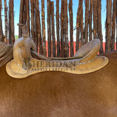 Saddle image 2 for Meet The Crew...