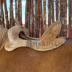 Saddle image 3 for Meet The Crew...