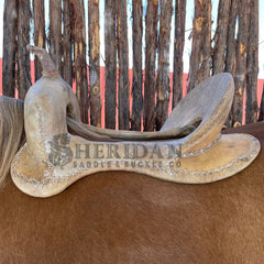 Saddle image 2 for Meet The Crew...