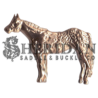 Appaloosa 1