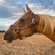 Load image into Gallery viewer, Bronc Halter Lettered