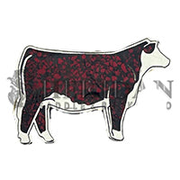 Heifer 7