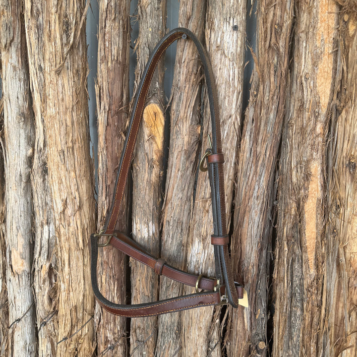 Ready to Ship Grooming Halter