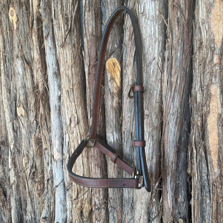 Ready to Ship Grooming Halter