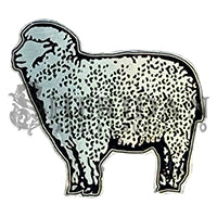 Lamb / Sheep 10