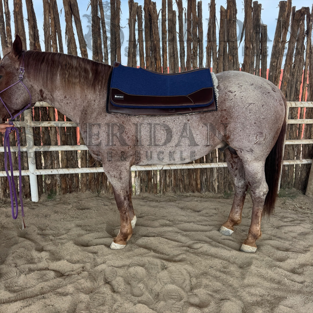 Navy Blue Contoured Felt Pad Blanket