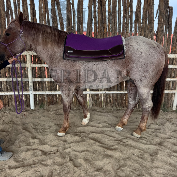 Purple Contoured Felt Pad Blanket