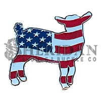 Pygmy Goat 2