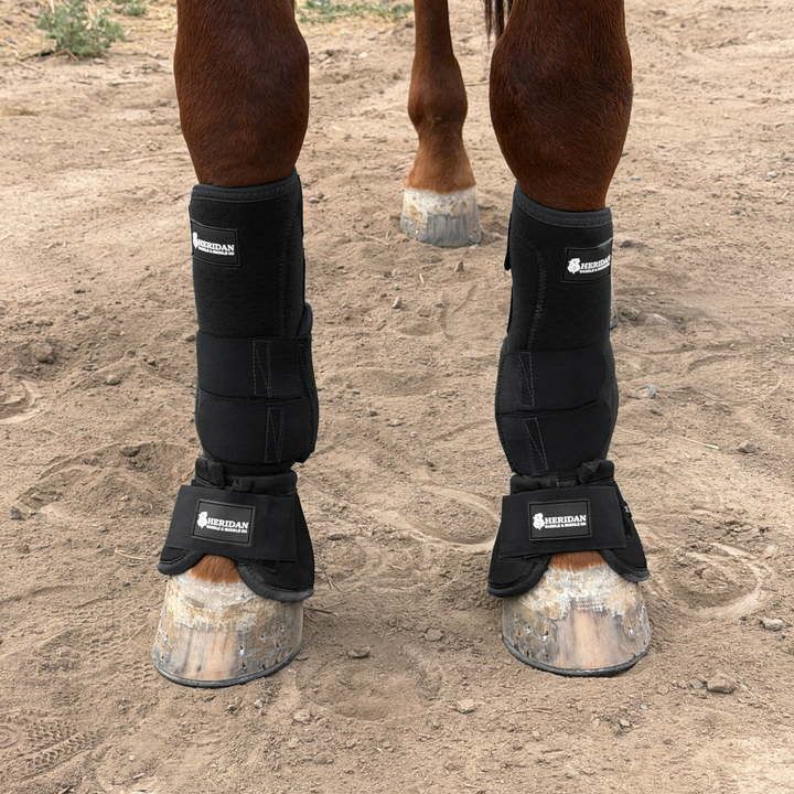 Black Bell Boots Medium