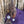 Load image into Gallery viewer, $1,225 - 13.5&quot; Sheridan Barrel Racing Saddle 20lbs
