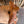 Load image into Gallery viewer, $975- 14.5&quot; Sheridan Defender Swell Barrel Racing Saddle

