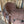 Load image into Gallery viewer, Sheridan Beartrap Barrel Racing Saddle In Seat Rig
