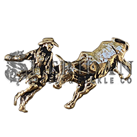 Bull Fighter 1
