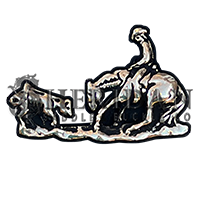 Cutting Horse 1