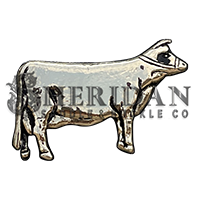 Dairy Cow 1