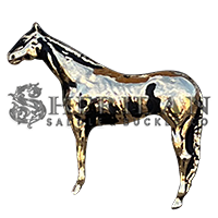 Horse Standing 1