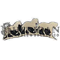 Horses 1