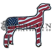 Lamb / Sheep 5