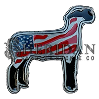 Lamb / Sheep 9