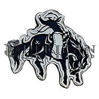 Ranch Bronc 1