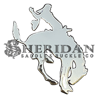 Ranch Bronc 2