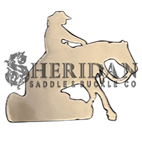 Reining Horse 2