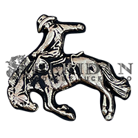 Saddle Bronc 1