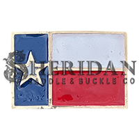Texas Flag 1