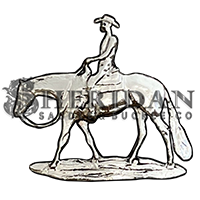 Trail Rider 1